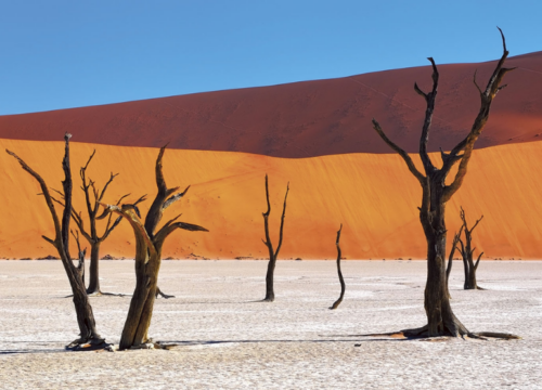 Southern Namibia Tour